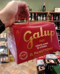 Panettone Tradicional del Piamonte Galup