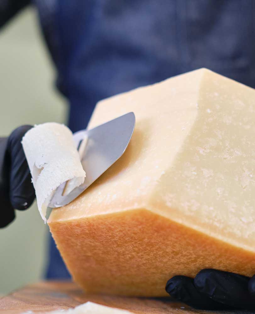 Queso Parmigiano Reggiano 22 meses