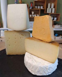 Selección embarazada