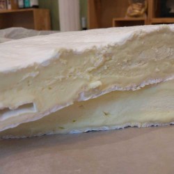 Brie de Meaux