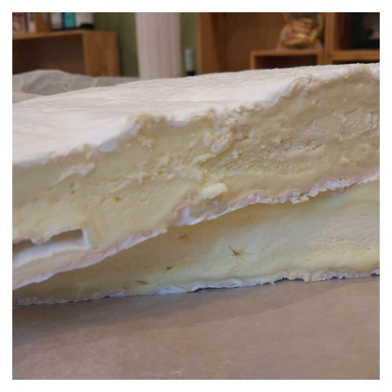 Brie de Meaux