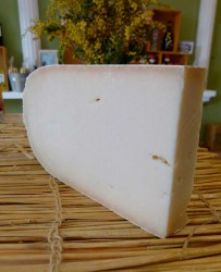 queso brabander