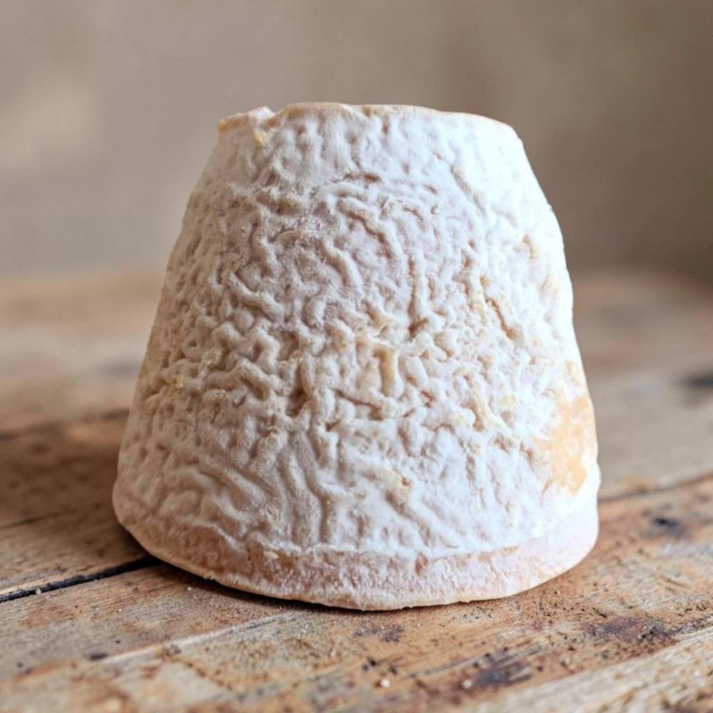 Comprar queso Rey Silo rojo - queso asturiano de leche cruda con pimentón y Geotrichum Candidum