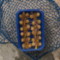 Comprar gildas de anchoa del Cantábrico Pujadó Solano - anchoa, aceituna y piparra artesanas