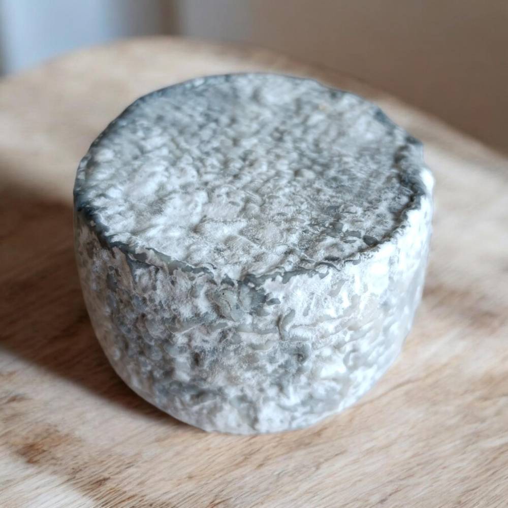 Comprar queso Luna Negra - queso de cabra pasta blanda de Sierra de Gredos, El Barraco, Ávila